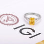 The Vaelora RING by Chantal Vaulet