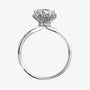 The Alisora Moissanite Crown Ring - Chantal Vaulet