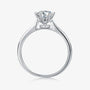 The Elvanna Moissanite Pavé Ring - Chantal Vaulet