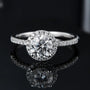 The Evelora Moissanite Halo Ring - Chantal Vaulet