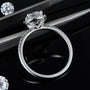 The Evelora Moissanite Halo Ring - Chantal Vaulet