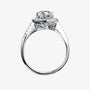 The Liravine Moissanite Halo Ring - Chantal Vaulet